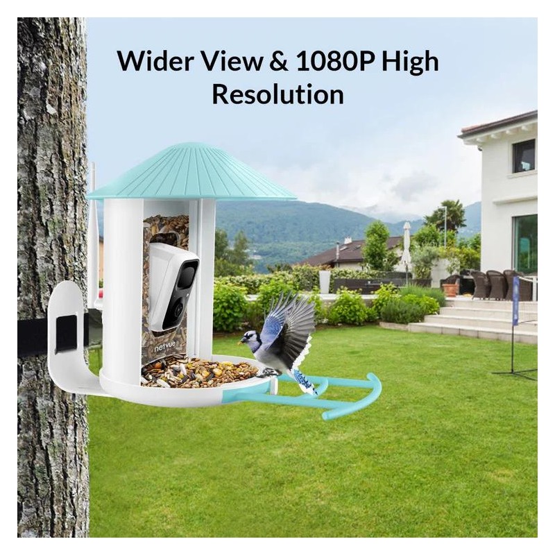 Birdfy Feeder with Solar Panel - Solar Powered Bird Feeder