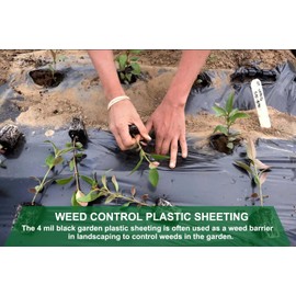 Feitore 4 Mil Black Plastic Sheeting Weed Barrier Landscape Fabric Heavy Duty Plastic Roll for Garden Multi Use Polyethylene Sheeting, 3FT x 50FT