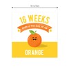 Maternity Weekly Milestone Photo Props / 9" x 9" Modern