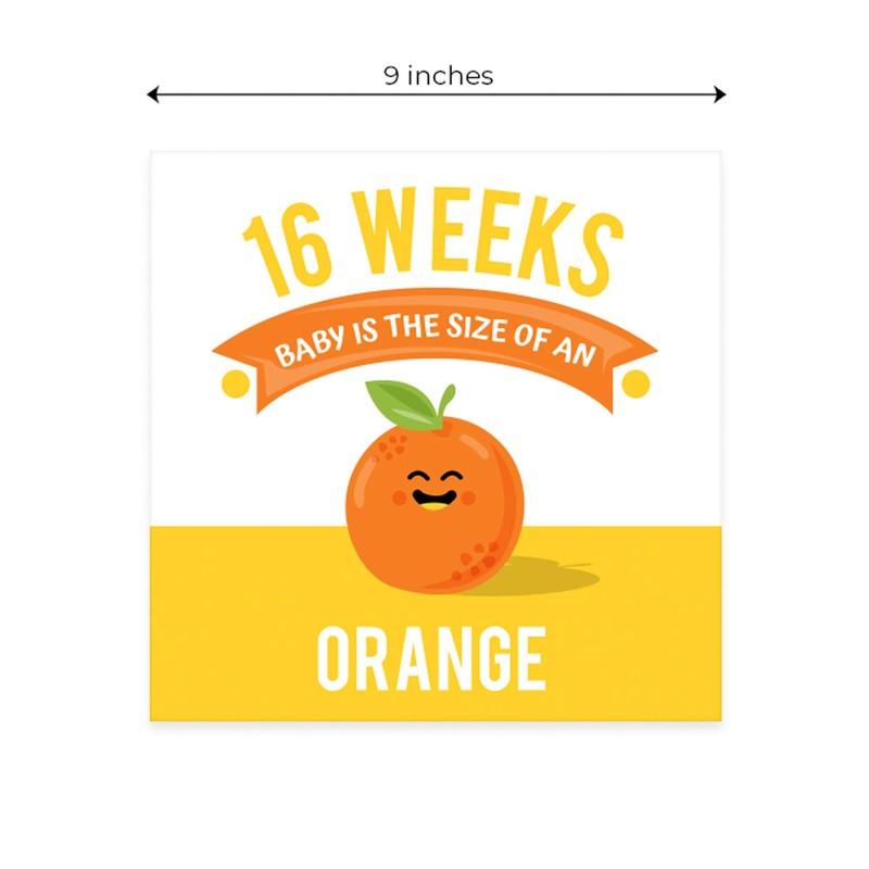 Maternity Weekly Milestone Photo Props / 9" x 9" Modern