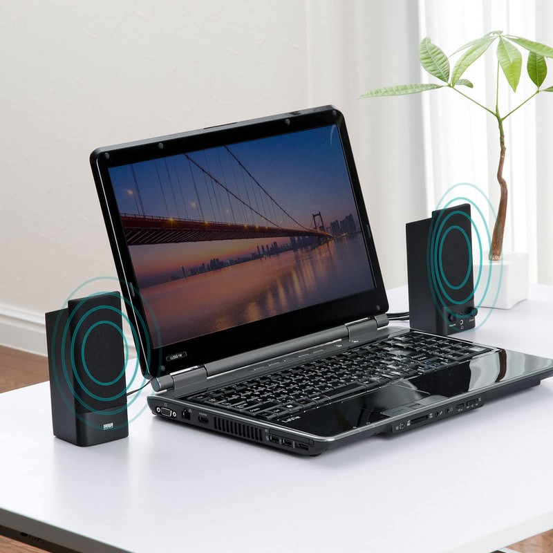 Sanwa Supply MM-SPL2N3 Multimedia Speaker Black