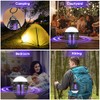 Bug Zapper, Rechargeable Mosquito Zapper Indoor Outdoor, UV Light Mosquito