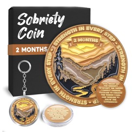 Sobriety Recovery Coin 2 Months - National Parks Design - 60 Day AA Coin with Serenity Prayer - One Day at a Time Inspirational Token - Keychain & Holder Included