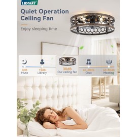 LEDIARY Caged Flush Mount Ceiling Fans with Lights, 20 Inch Farmhouse Low Profile Ceiling Fan with Remote, Small Bladeless Fan Lights Ceiling Fixtures for Bedroom, Kitchen- Black and Gold