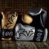RIVAL Boxing RS11V Evolution Sparring Gloves, Extra-Thick 2” Padding, V-Strap