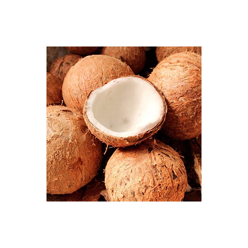 LIV NATURAL Aceite de Coco Fraccionado 125 ml