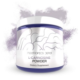Nootropics Depot L-Carnosine Powder | 30 Grams | May Help Support Brain Health, Longevity, & Metabolism