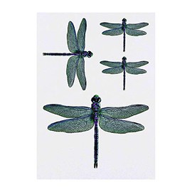 Azeeda 4 x Dragonfly Temporary Tattoos (TO00036527)