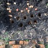 Edward Tools Bulb Planter - Bend Free Tool for Planting