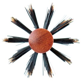 Sanby Industrial Roll Brush, Boar Hair + Pig Bristle, HC (Small HC-382), Made in Japan