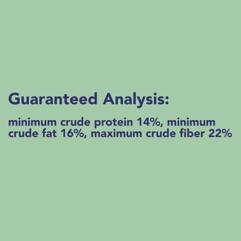 BestNest Critter Snack Seed Mix, 10 lb Bag | Blend