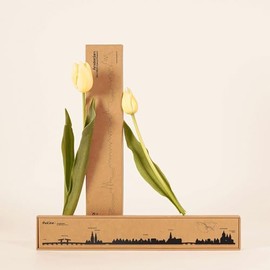 The Line City Skyline Wall Art 19.5" (50 cm) - Amsterdam