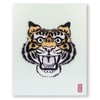 Kangaro K-810041 Canvas, White, 30 x 30 cm