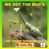 Fresh Picked Praying Mantis Egg Cases + FREE HATCHING BAG