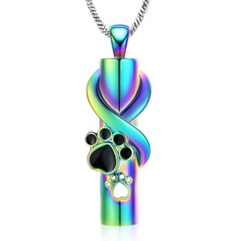 QGJNSGC Urn Necklace for Ashes for Dog/Cat Pet Paw Print Cylinder Ash Pendant Memorial Keepsake Pet Cremation Jewellery (Rainbow)