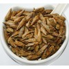 Herba Organica White Poplar Buds - Populus Alba L -