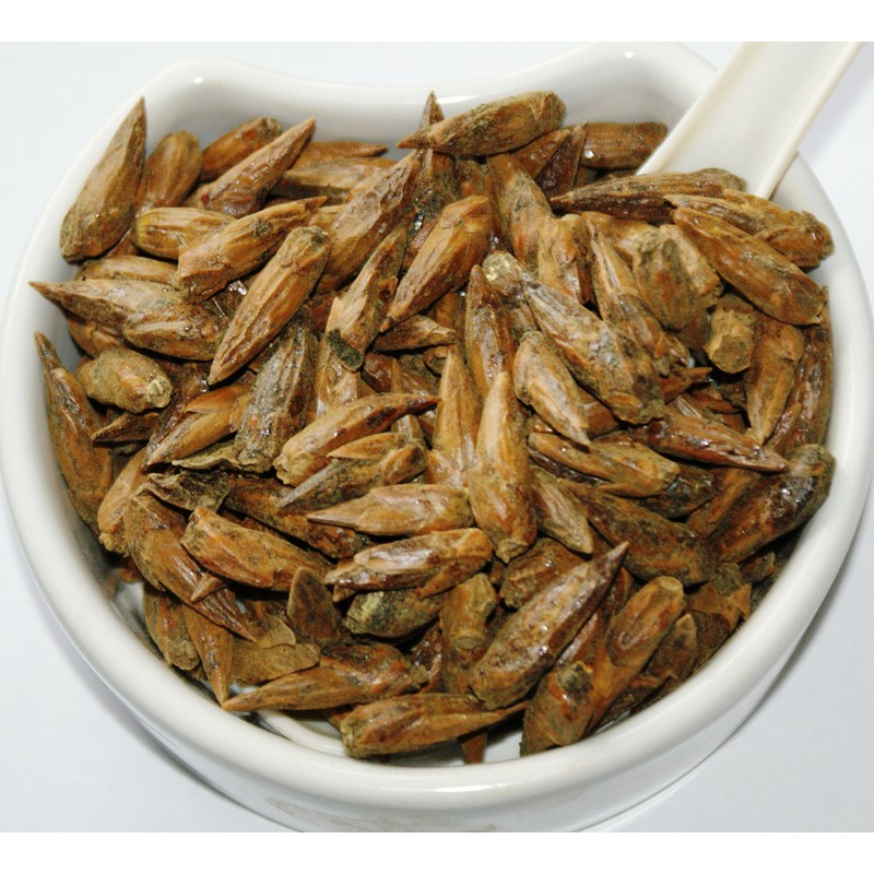 Herba Organica White Poplar Buds - Populus Alba L -