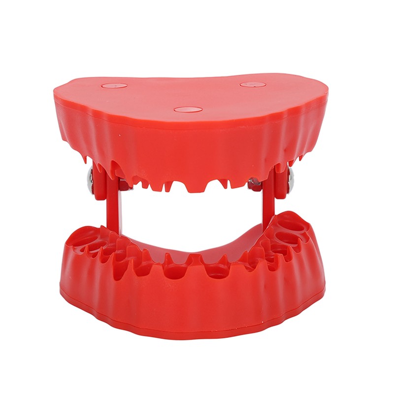 Denture Drill Bit Holder Teeth Model Shaped Full Opening Screwdriver