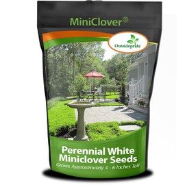 Outsidepride Perennial White MiniClover Seed - 5 lb. Dwarf, Small-Leaved, Drought & Wear-Tolerant Micro Clover Seeds for Lawn, Ideal Low-Maintenance & Easy to Grow Ground Cover Seeds for Home Yard