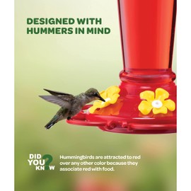 Hummingbird Feeder 10 oz [2 Pack] Glass Hummingbird Feeders for Outdoors, with Built-in Ant Guard - Circular Perch with 5 Feeding Ports - Wide Mouth for Easy Filling/2 Part Base for Easy Cleaning