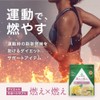 アルプロン (ALPRON SLIM) ダイエット サポート 燃え燃え450g グレープフルーツ風味 カルニチン クエン酸 アルギニン