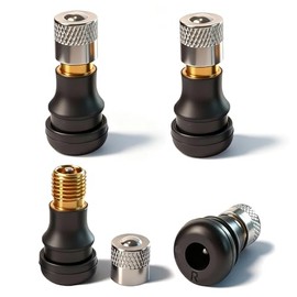 GYL Vacuum Valve for Electric Scooters 4 Pcs Tubeless Tire Valve Stems Fit Xiaomi M365 Pro/Ninebot Max G30, Comes with Aluminium Cap