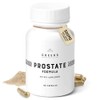 Cheers Prostate Formula for Men, Selenium, Zinc & Vitamin B6,