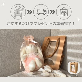 HAYAOKIYASAN Dress Rabbit Plush Piano, Ballet, Recitals, Birthday, Present, Hand Held