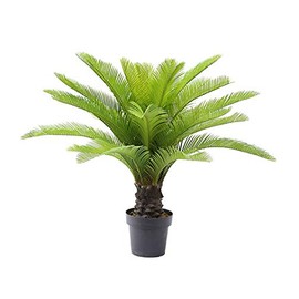 AMERIQUE 3 Feet Cycas Revoluta Sago Palm Tree Artificial Plant with Nursery Pot, Feel Real Technology, 21 Long Leaves