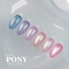 From the Nail Pony 6-piece set magnetic gel / 프롬더네일