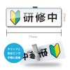 NYANDELMO Training Badge, Wakaba Mark, Beginner, Acrylic, Clip, Pin, 3.0