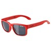 ALPINA MITZO Distortion-Free and Shatterproof Sunglasses with 100% UV Protection