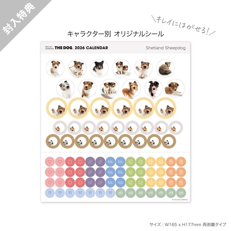 THE DOG 2026 Wall Calendar, Mini Size, Shetland Sheepdog