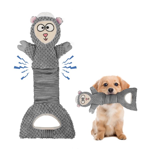 SyChien Dog Squeak Toys Interactive Pet Toy with Crinkle Paper