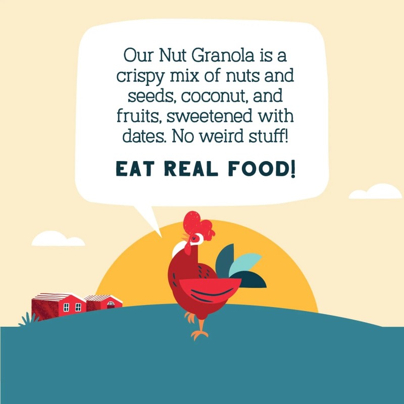 Seven Sundays Nut Granola Cereal, Day Dream Dark Chocolate Raspberry,