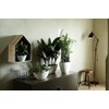 elho Brussels Diamond Oval 36 - Flower Pot for Indoor