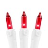 Novelty Lights 50 Light Red Christmas Mini Light Set, White