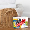 Shout Wipes, Wipe and Go Instant Stain Remover, Laundry Stain