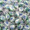 FUNTASTY Sugar-Free Starlight SPEARMINT Hard Candy- 1 Pound Pack