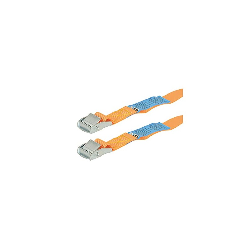 Carpoint Tie-down straps 2 x 2,5 metres, Orange