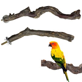 Allazone 2 PCS Perch Bird Stand Natural Wooden Parrot Perch Stand Bird Climbing Standing Branches Toy for Small Lovebirds Budgies Cockatiels