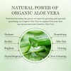 Aloderma- Hidratante facial iluminador con 75% de aloe vera orgánico:
