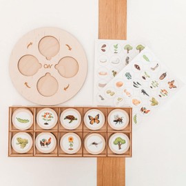 zalati Life Cycle Tray Kit Flash Cards Toy Montessori with Wooden Plate for Educational & Fun Matching Game for Children 3+