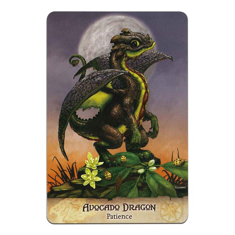 Oracle Card Divination Field Guide To The Garden Dragons