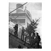 Taking the Blue Star Liner Avila's Christmas tree aboard, a