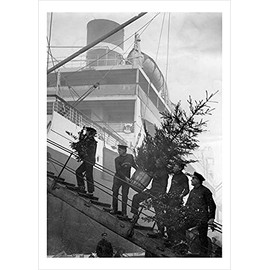 Taking the Blue Star Liner Avila's Christmas tree aboard, a 127 x 175mm Alternative Image winter themed Christmas card featuring a vintage black and white photo, message inside says Happy Christmas