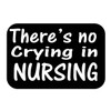 ThatLilCabin - There is NO Crying in Nursing AS797 6"