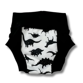 Reusable Waterproof Nighttime Potty Training Pants (4-5, Rawr)