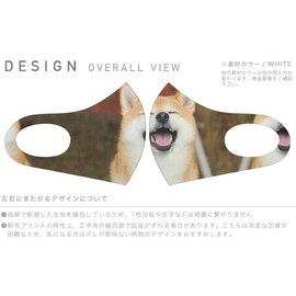 Smakore 015611 Design Mask, Set of 2, Polyester, Washable, Cloth Mask, Unisex, Cute, Shiba Inu