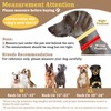Mayerzon Martingale No Pull Dog Collar, Reflective Walking Collar for